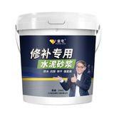 修补专用水泥（地面款）